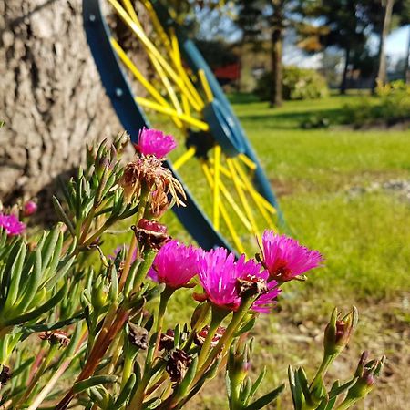Cabanas Risso Villa Villarrica Kültér fotó
