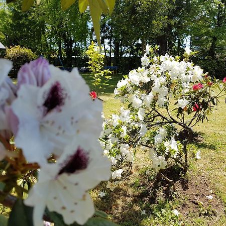 Cabanas Risso Villa Villarrica Kültér fotó