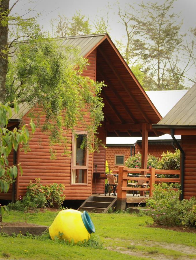 Cabanas Risso Villa Villarrica Kültér fotó