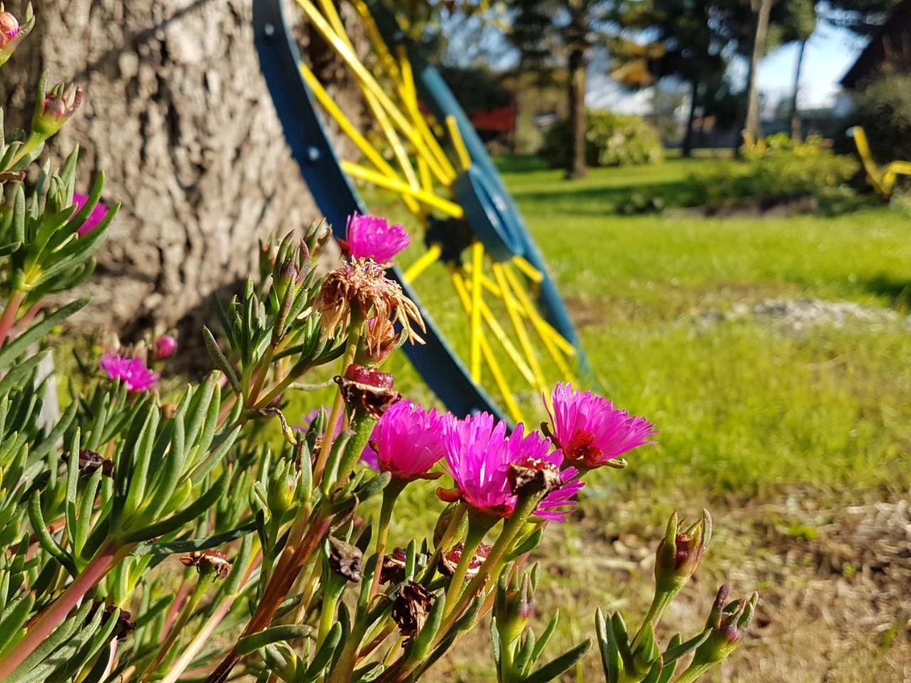Cabanas Risso Villa Villarrica Kültér fotó