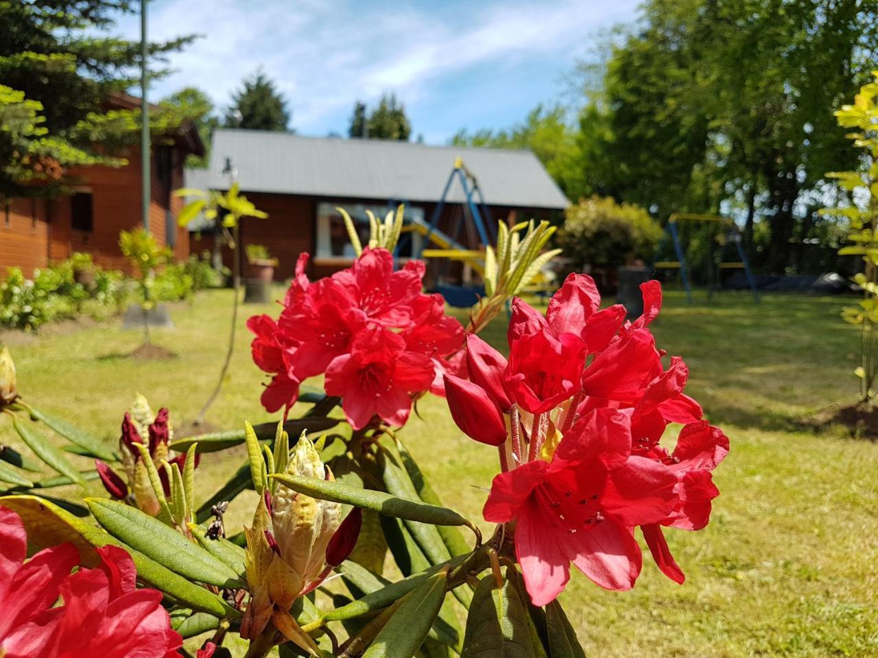 Cabanas Risso Villa Villarrica Kültér fotó