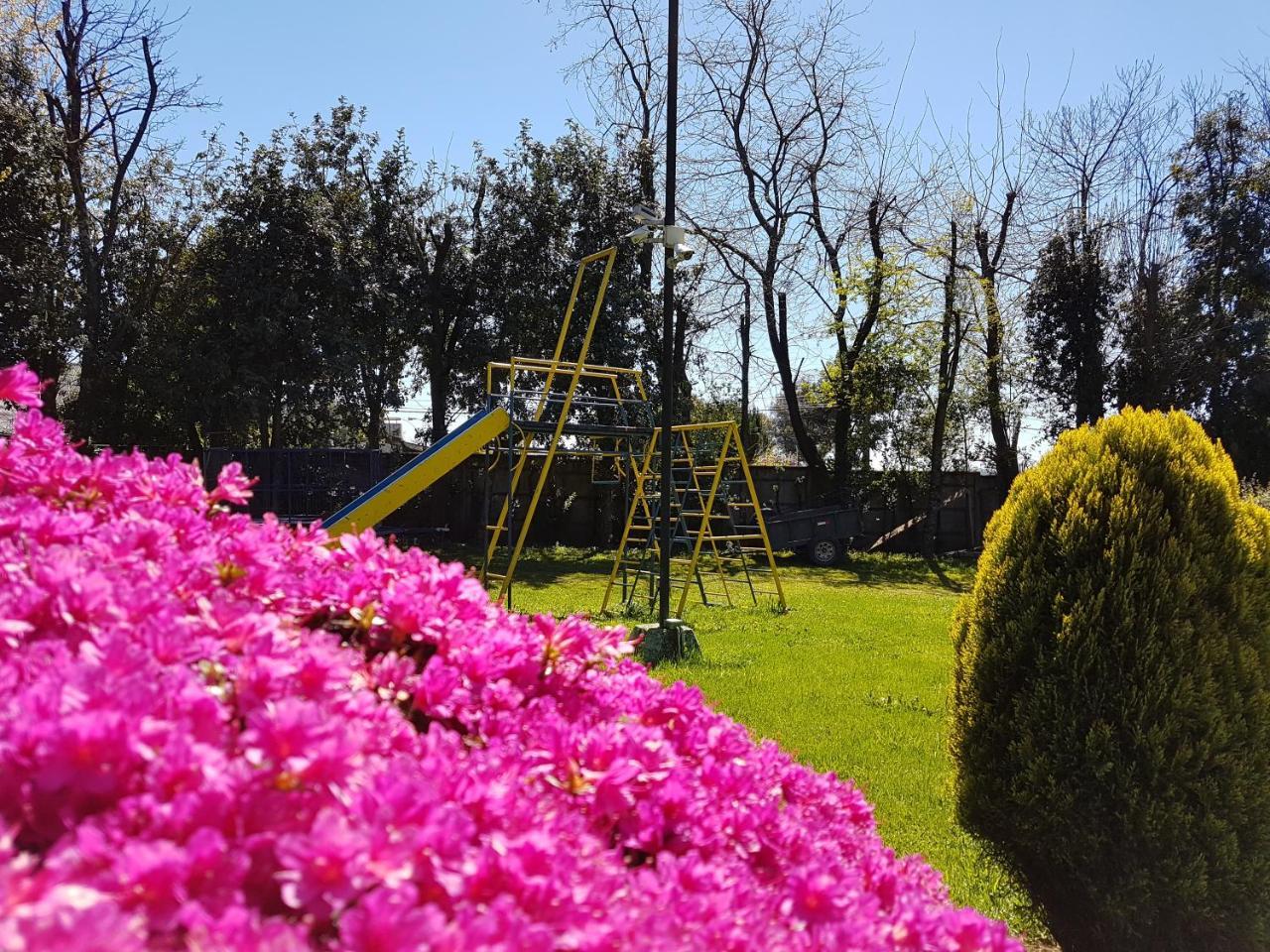Cabanas Risso Villa Villarrica Kültér fotó